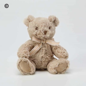 Cuddly Toys
