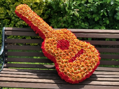 Guitar