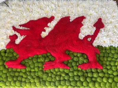 Walsh Dragon