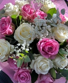Blossom