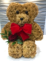3D Teddy