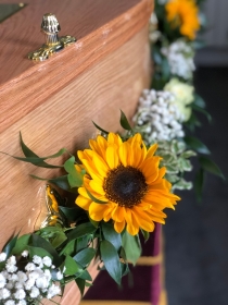 Sunflower and country flower