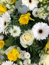 White flowers with daffodils